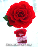 2011.06.28_013a.png